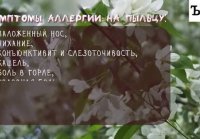 Аллергия: как спастись