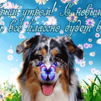 file_57911203