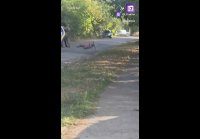 Могилезация лисопедиста