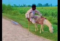VID-20240419-WA0069