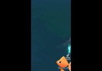 video_108601561