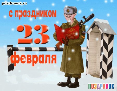 23-fevralya-soldat-karaul