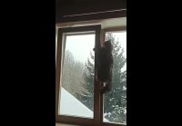 Как мы попали на праздник