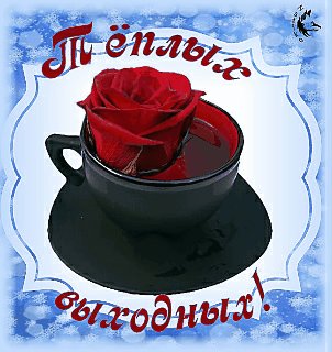 теплых выходных