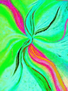 file_55169494