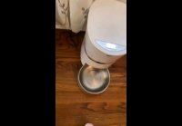 video_103986425