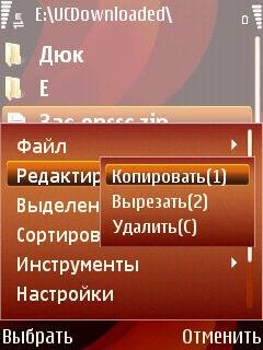 LFile 1,00
