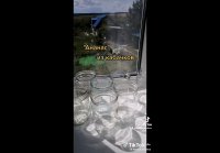 ,,ананас,, из кабачков