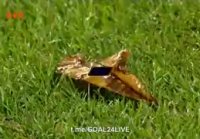 Заря Шахтер 2:1