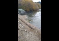 video_105661285