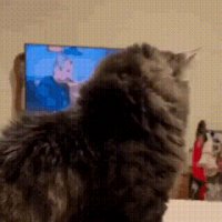 VID 20251119 151304 057 5