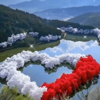 file_96623943