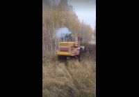 video_108123368