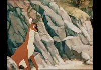 Олень и Волк (1951)