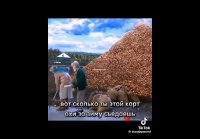 VID-20250324-WA0050