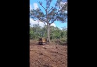 video_106385639
