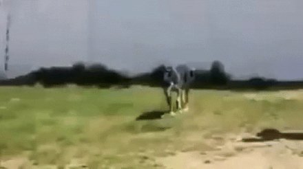 bf2461fa960f24e3bf15fe2358848b69f0bd78d8