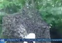 Новости о ходе спецоперации