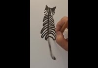 Videoplayback (10)