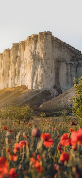 file_100183739