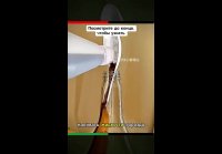 Полезные советы для жизни