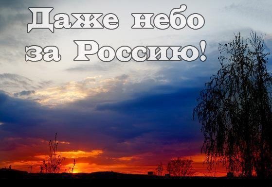mTbQ9SYpNxs