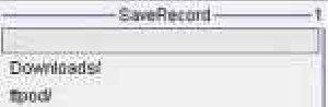 SaveRecord
