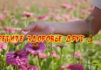 Мы порою
