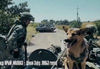 play.mp4 logo RU