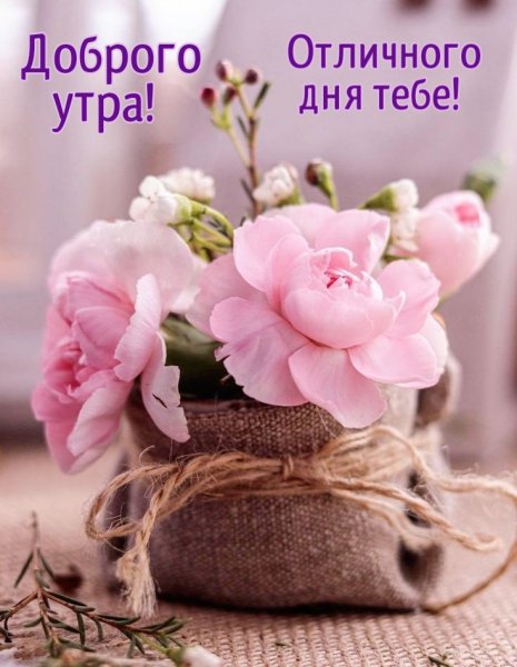 IMG-20250826-WA0014