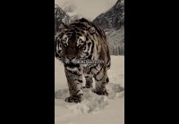 Притча о годах жизни