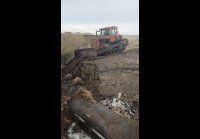 video_106896743