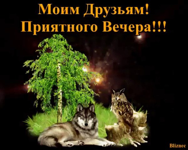 IMG 20200218 180057