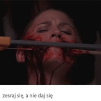 obrazek yapfiles.ru