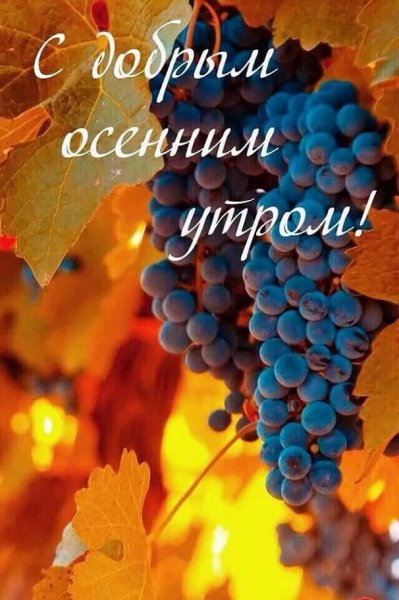С добрым осенним утром!
