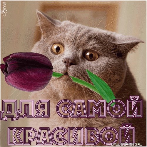 Для самой красивой