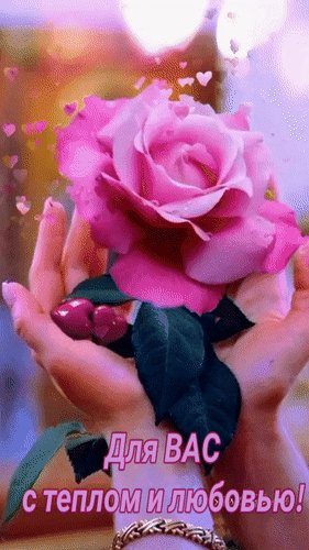 file_100116706