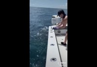 Во где рыба!
