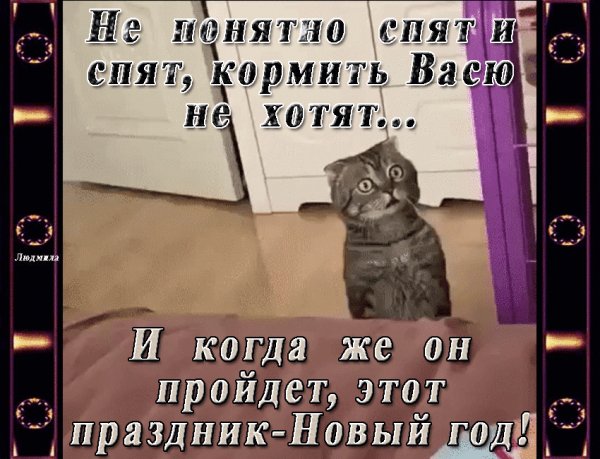 file_76148046