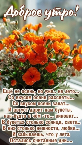 IMG-20250831-WA0002