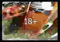 Krash-test Nokia 109 - padenie loveroza.ru