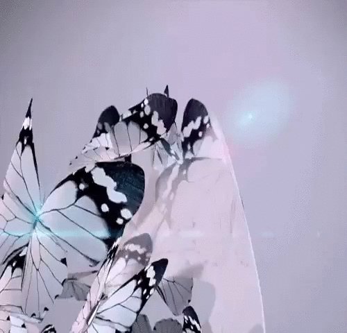 Бабочки