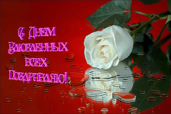 C днём влюблённых
