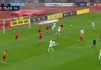 Буковина Заря 1-1