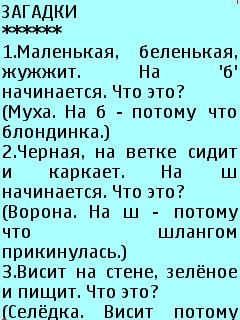 Zagadki