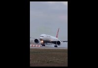video_108855546