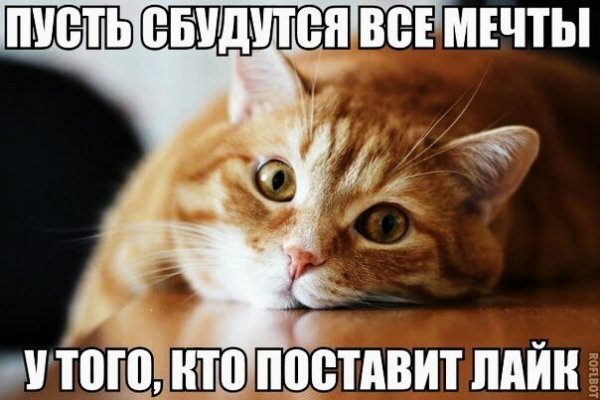 IMG 20151229 204415