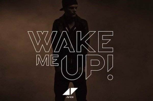 Avicii - Levels (Kill Safari Flip)