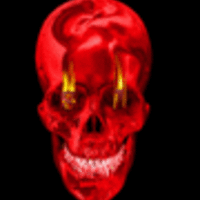 skull
