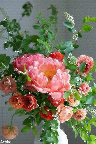 file_77292466